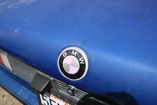 IMG_4930.jpg