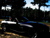 IMG_1443.jpg IMG_1443.jpg