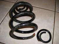 CoilSpringAlpina001.jpg CoilSpringAlpina001.jpg