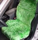 auto_green5.jpg