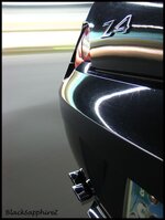 IMG_2492copy.jpg