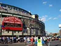 cubs3.jpg
