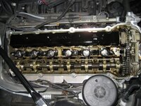 IMG_2525.jpg