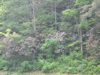 DSCN2732.jpg