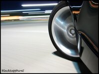 IMG_2481copy.jpg