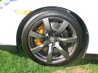 IMG_1729_1.jpg