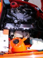 culzean08018.jpg
