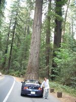 DSCN1805.jpg