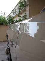 IMG_7371.jpg IMG_7371.jpg