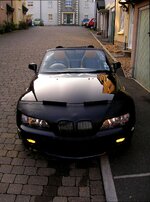 z3bra1-small.jpg