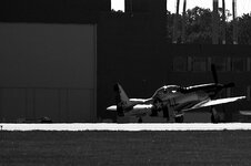 2959728329_005fc12a77.jpg