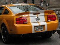 IMG_0729.jpg