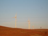 DSCN3129.jpg