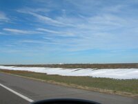 DSCN3135.jpg