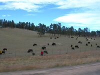DSCN3138.jpg