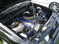 Img_0351s.jpg