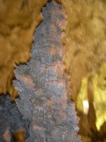 DSCN3525.jpg