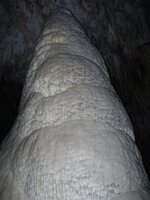 DSCN3550.jpg