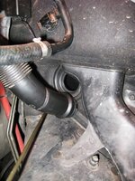 IMG_2757.jpg