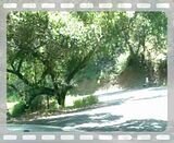 th_MOV04403.jpg th_MOV04403.jpg