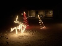 DSCN0370.jpg
