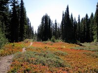 IMG_0447.jpg