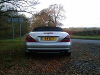 PheasantRunNov08176.jpg