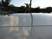 IMG_7541.jpg IMG_7541.jpg