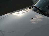 IMG_7544.jpg IMG_7544.jpg
