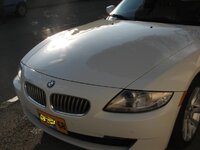 IMG_7554-1.jpg IMG_7554-1.jpg