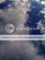 IMG_0772.jpg