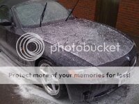 IMG_0780.jpg