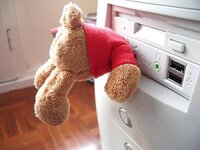 teddy%20bear%201.jpg