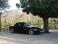IMG_1492.jpg