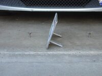 DSC04167.jpg