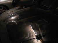 IMG_1286.jpg