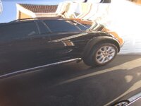 IMG_1294.jpg IMG_1294.jpg