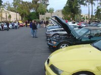 DSC07699.jpg