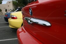 IMG_1681.jpg