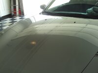 FILE0037.jpg