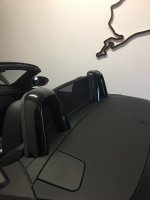 IMG_5910.JPG