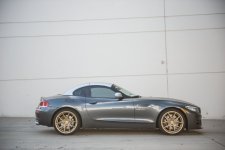gold rims.jpg gold rims.jpg