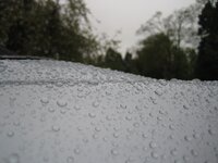 IMG_1457.jpg IMG_1457.jpg