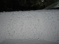 IMG_1462.jpg IMG_1462.jpg