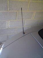DSC00288.jpg