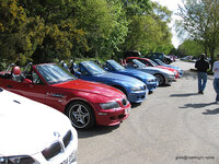 IMG_3733.jpg
