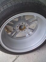 DSC00339.jpg