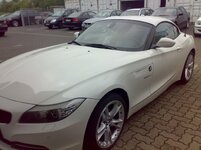 White01.jpg