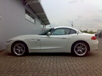 White03.jpg