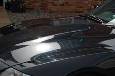 z4mpreview032.jpg